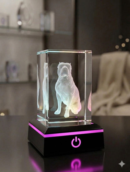 Magischer Personalisierter 3D Fotowürfel